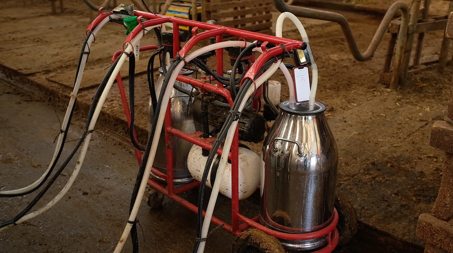 MastiPro on portable milking unit